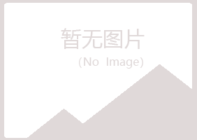 雨山区漂流会计有限公司